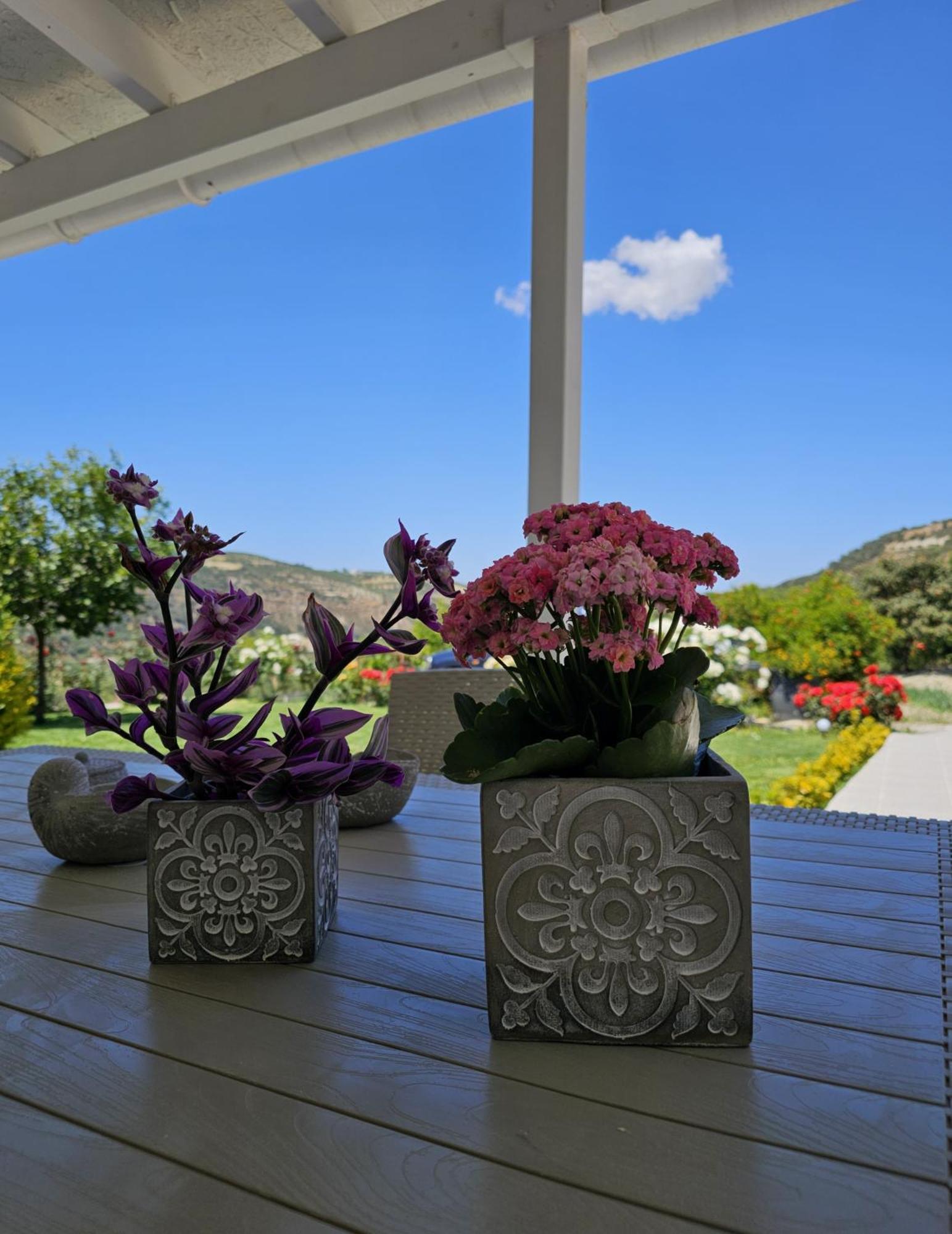 Ornament: Infinite Nature Villa Dhafnes 外观 照片